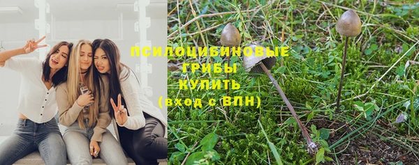 герыч Няндома