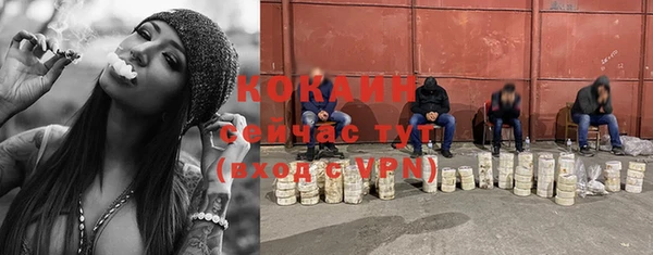 ПСИЛОЦИБИНОВЫЕ ГРИБЫ Остров