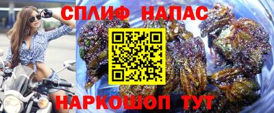 СК Можга
