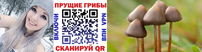 Псилоцибиновые грибы прущие грибы цена Ялуторовск