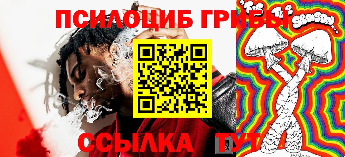 Псилоцибиновые грибы мухоморы  Вход с VPN  Ялуторовск  Галлюциногенные грибы мухоморы 